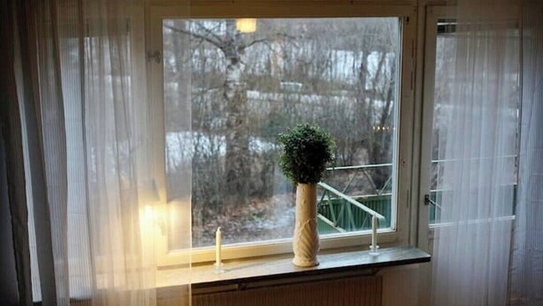 A window with a view of trees and a railing outside. A vase with a plant is placed on the window sill.