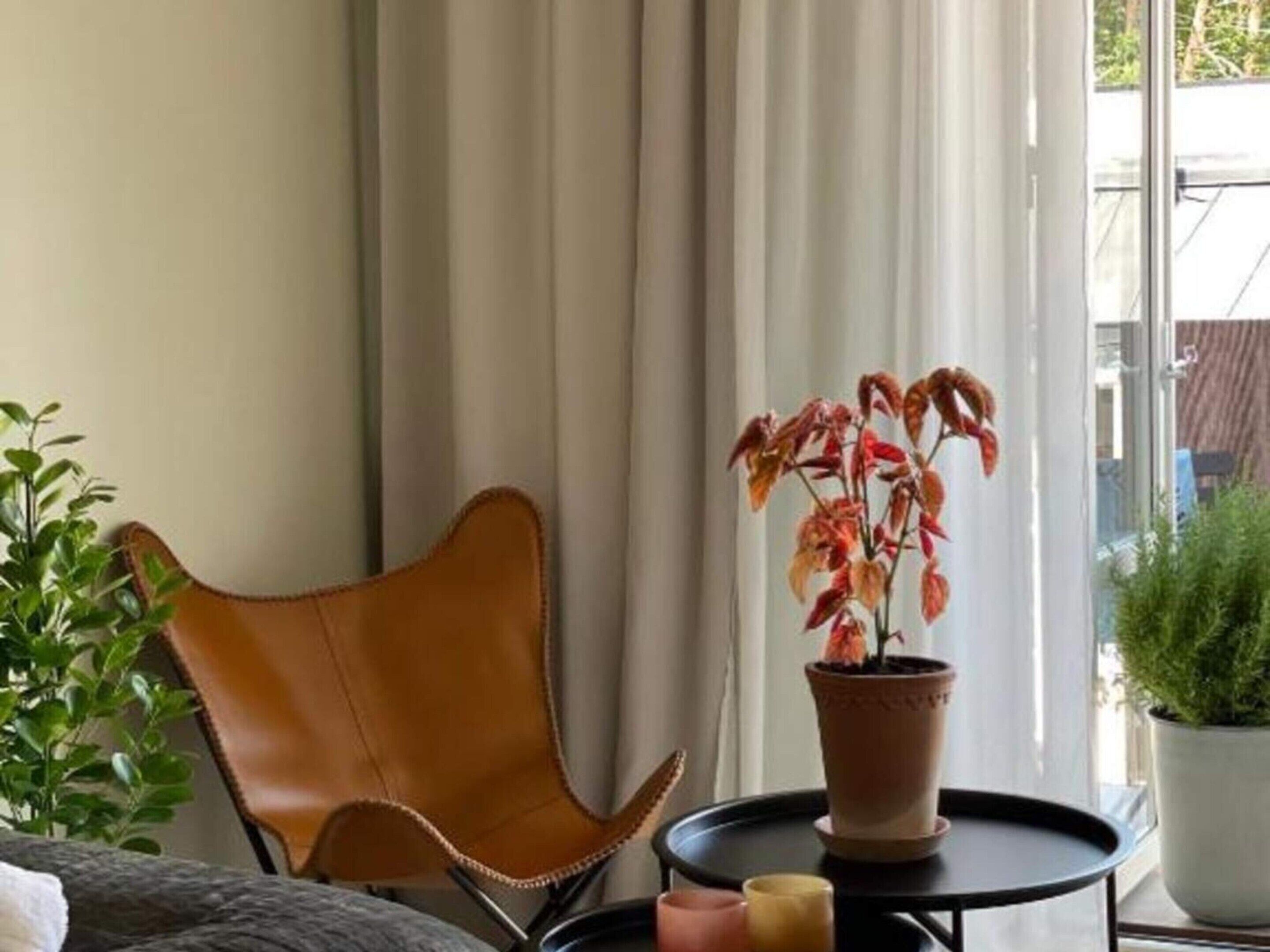 Um quarto com uma poltrona de couro marrom, uma mesa redonda pequena com uma planta em vaso e uma janela com cortinas.