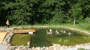 A natural hot spring surrounded by rocks and greenery. - Beautiful Villa With Spacious Rooms (Lešany)
