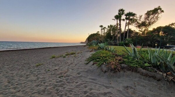 Ubicación a pie de playa, tumbonas y toallas de playa