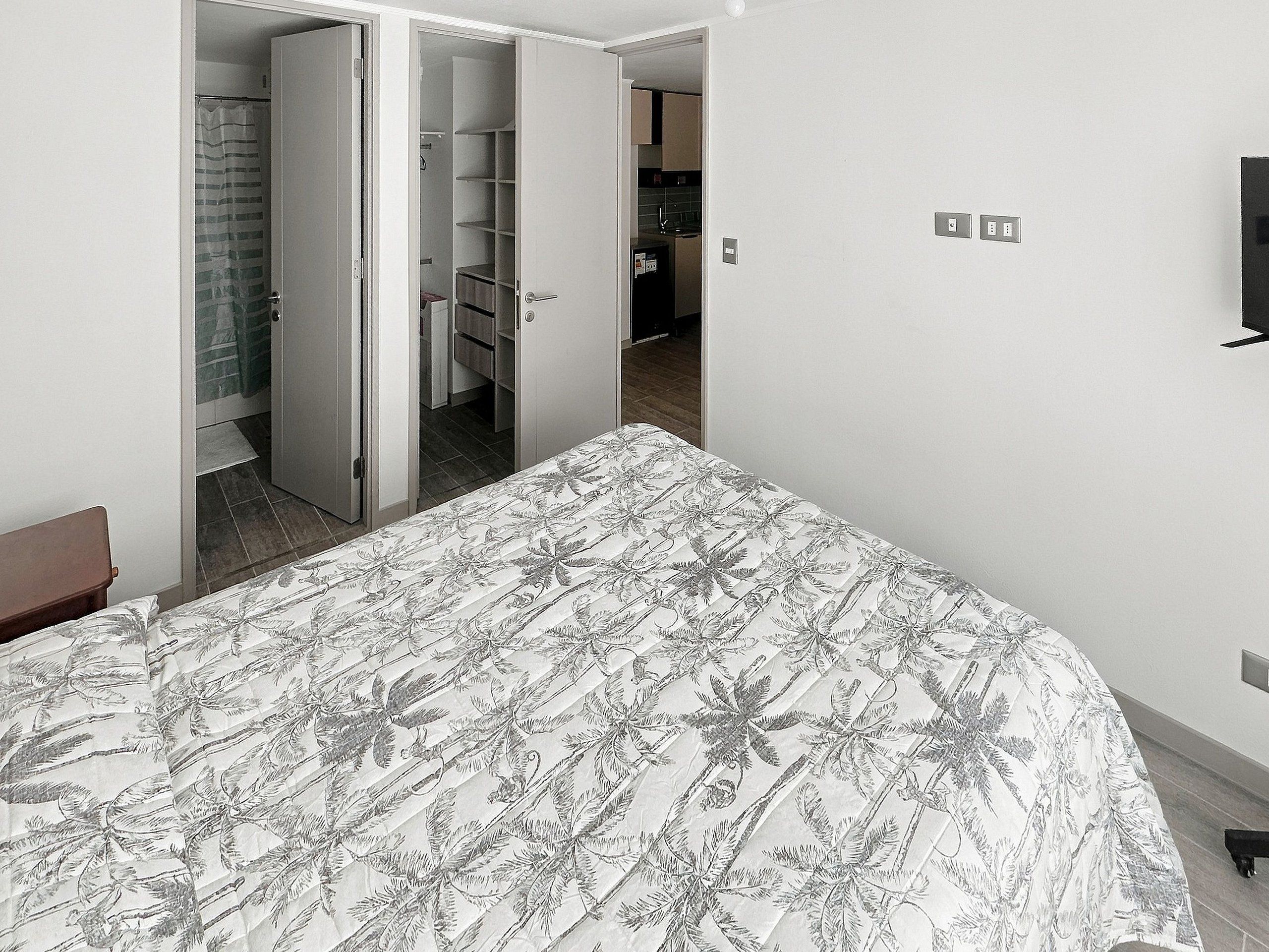 Un dormitorio con cama, armario y baño con ducha.