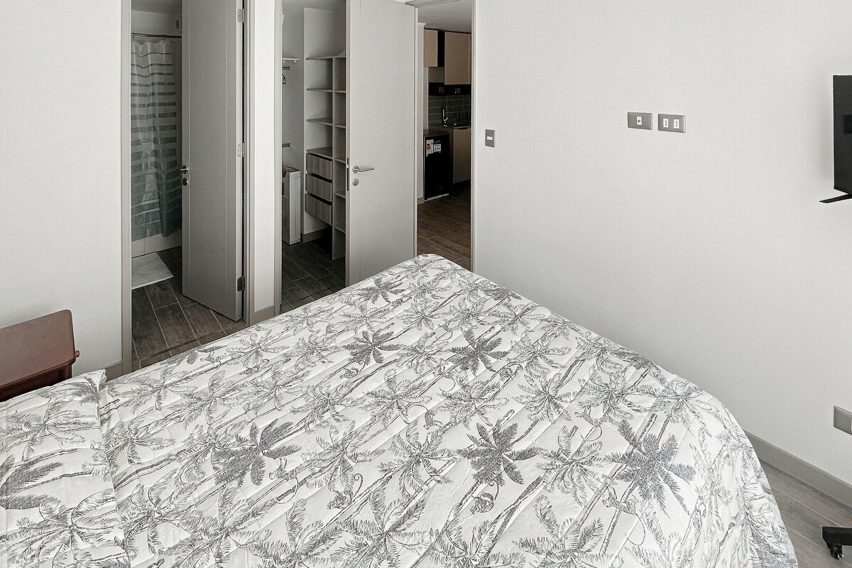 Une chambre à coucher comprenant un lit, une armoire et une salle de bain avec douche.