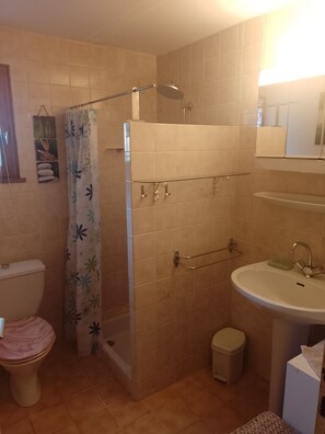 Shower, towels, toilet paper