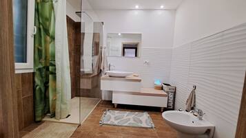 Shower, hair dryer, bidet, towels