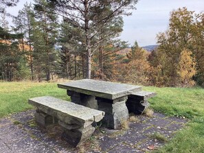 Une table de pique-nique en pierre, avec des bancs, située dans un espace herbeux entouré d’arbres.