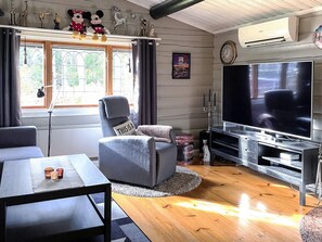 Un salon comprenant une télévision, un fauteuil gris, un canapé, une table basse et une fenêtre avec des rideaux.