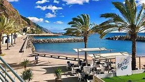 A coastal area with a beach, palm trees, and a rocky shoreline. - Cliff House (Lombo do Doutor)