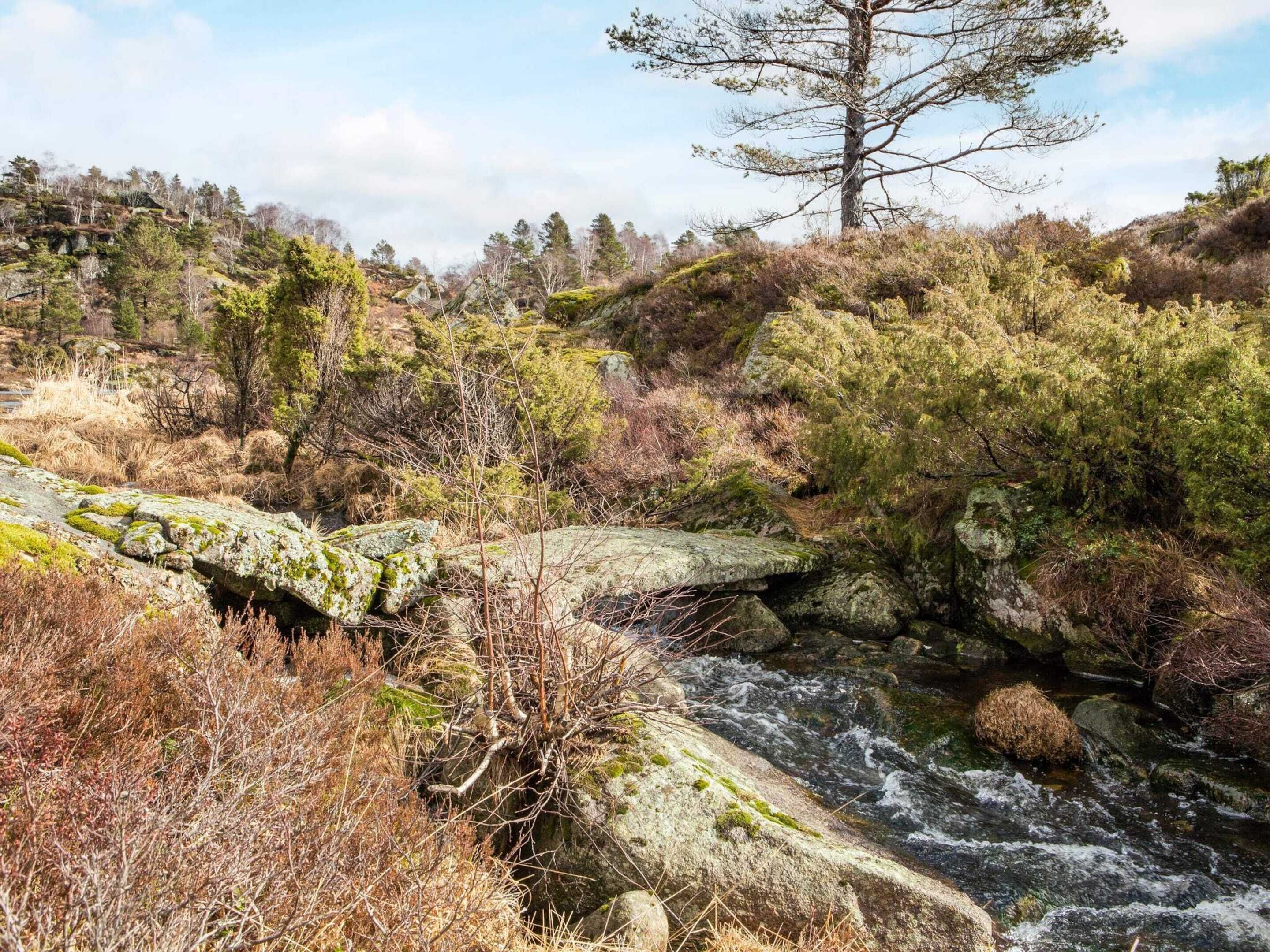 A natural landscape with a flowing river, rocks, and trees.