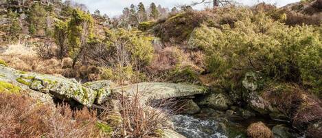 A natural landscape with a flowing river, rocks, and trees.