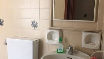 Hair dryer, bidet, towels, soap