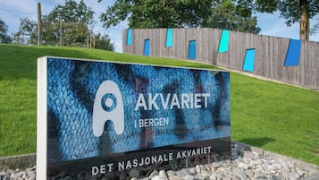 Apartment, 3 Bedrooms, City View | 3 bedrooms, blackout curtains, iron/ironing board, free WiFi