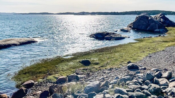 Uklassifisert bilde, 1 av 26, knapp