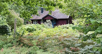 4 Star Holiday Home in Kalv