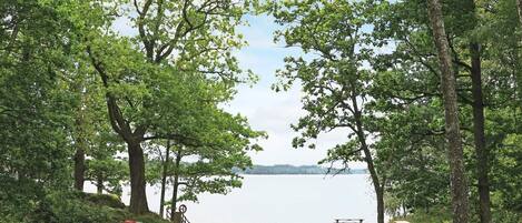 A lakeside park with picnic tables and benches.