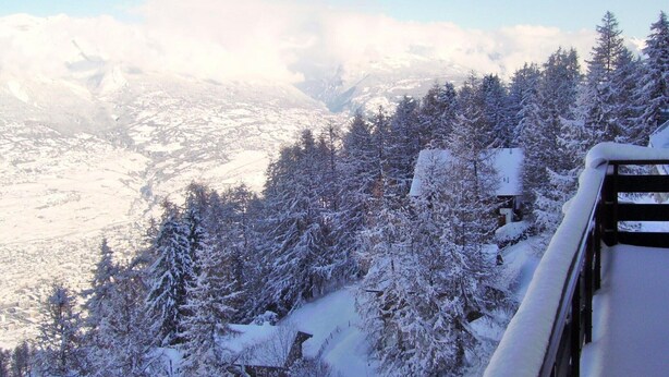 Eine verschneite Berglandschaft mit dichten Wäldern und einer Holzhütte.