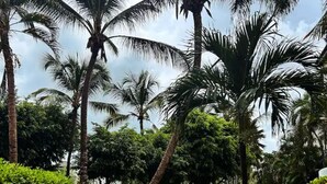 A pathway surrounded by lush greenery and palm trees, leading to a building with a white facade. - Carey Apartment in Carey Residential, White Sands, 5 Minutes from the Beach. (Punta Cana)