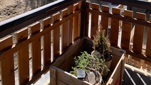 A wooden balcony with a view of a forested hillside.