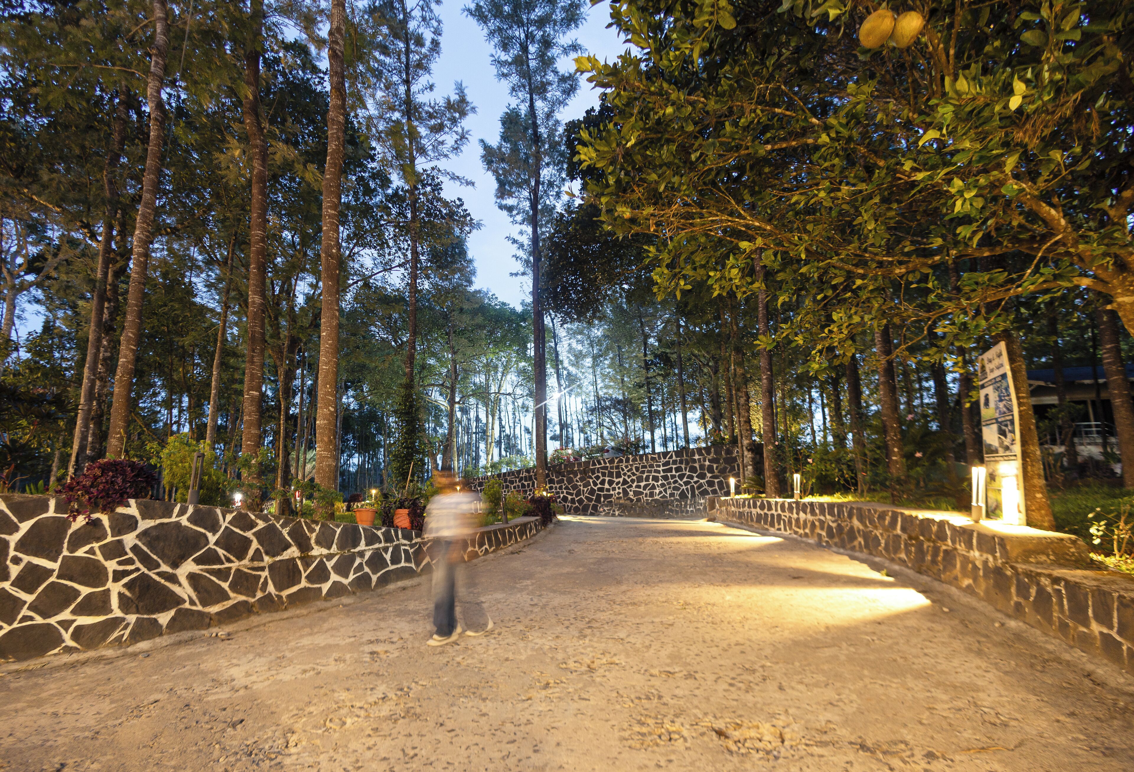 A dirt path flanked by stone walls and tall trees, leading to a stone bridge.