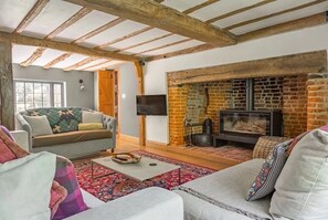 Smart-TV, Kamin, Videospiele, DVD-Player