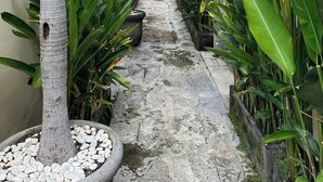 A narrow pathway flanked by large potted plants and a palm tree, leading to a red door.
