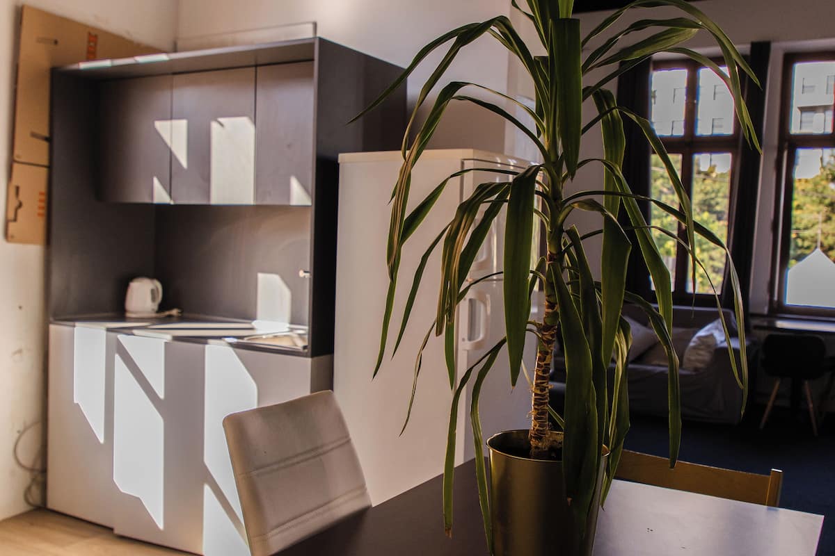 Une cuisine moderne dotée d’un réfrigérateur encastré, d’une table à manger agrémentée d’une plante en pot et d’une fenêtre laissant entrer la lumière naturelle.