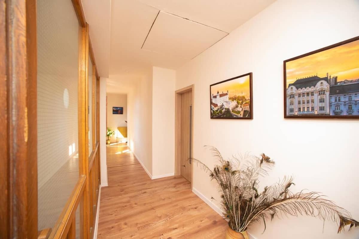 Un couloir doté d’un plancher en bois, d’une plante en pot et de deux tableaux encadrés accrochés au mur.
