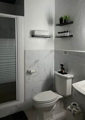 Shower, hair dryer