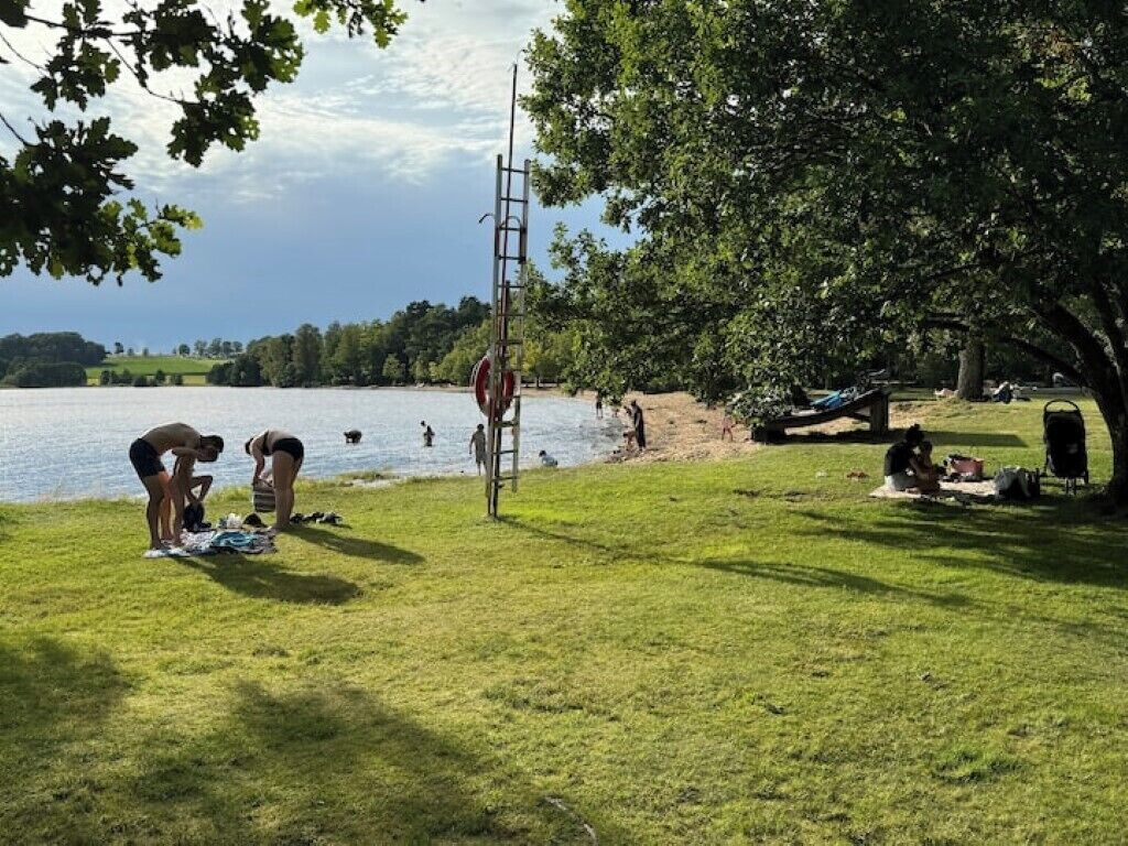 A lakeside park with grassy areas, a ladder, and people engaging in various activities.