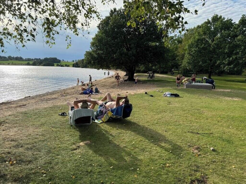 A lakeside park with grassy areas, trees, and a few people.