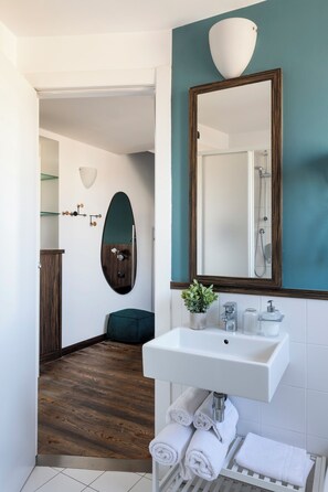 Chambre classique, 1 grand lit, non-fumeur | Salle de bain | Douche, séchoir à cheveux, serviettes fournies, savon