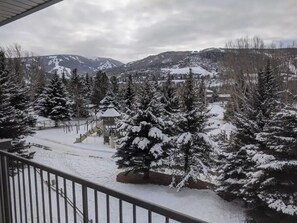 Property grounds - Fantastic view of Beaver Creek
(Avon)