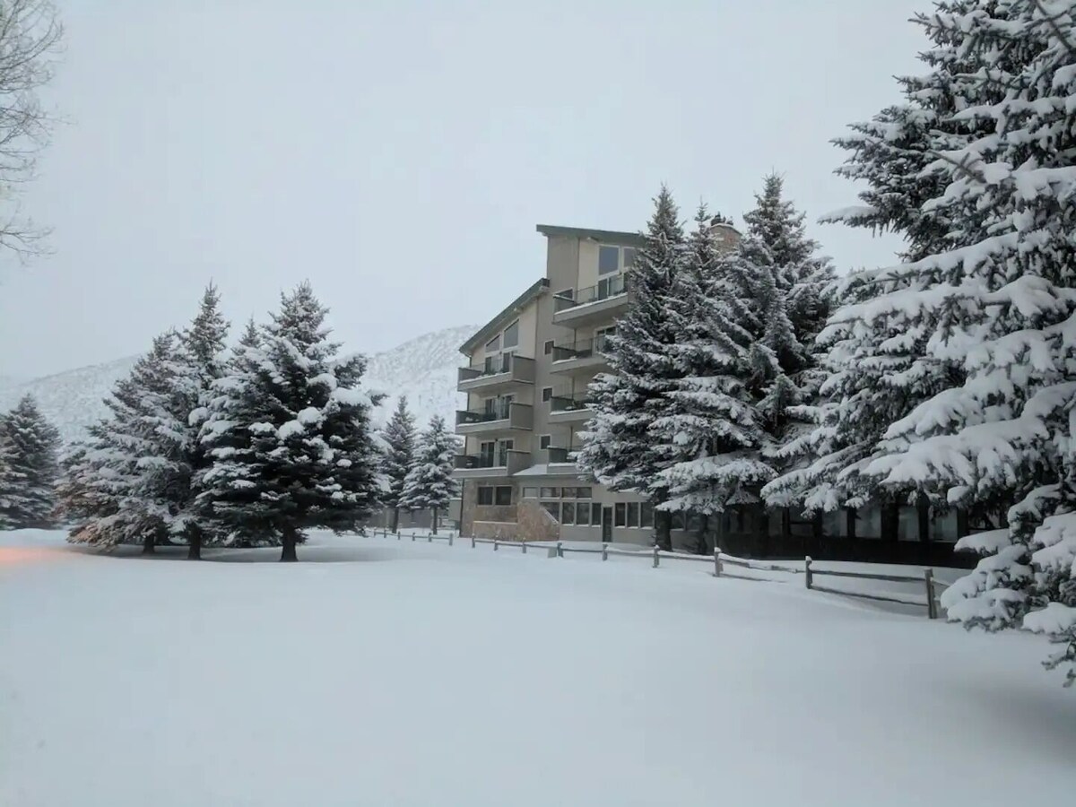 Imagen de perfil del propietario o de la propietaria