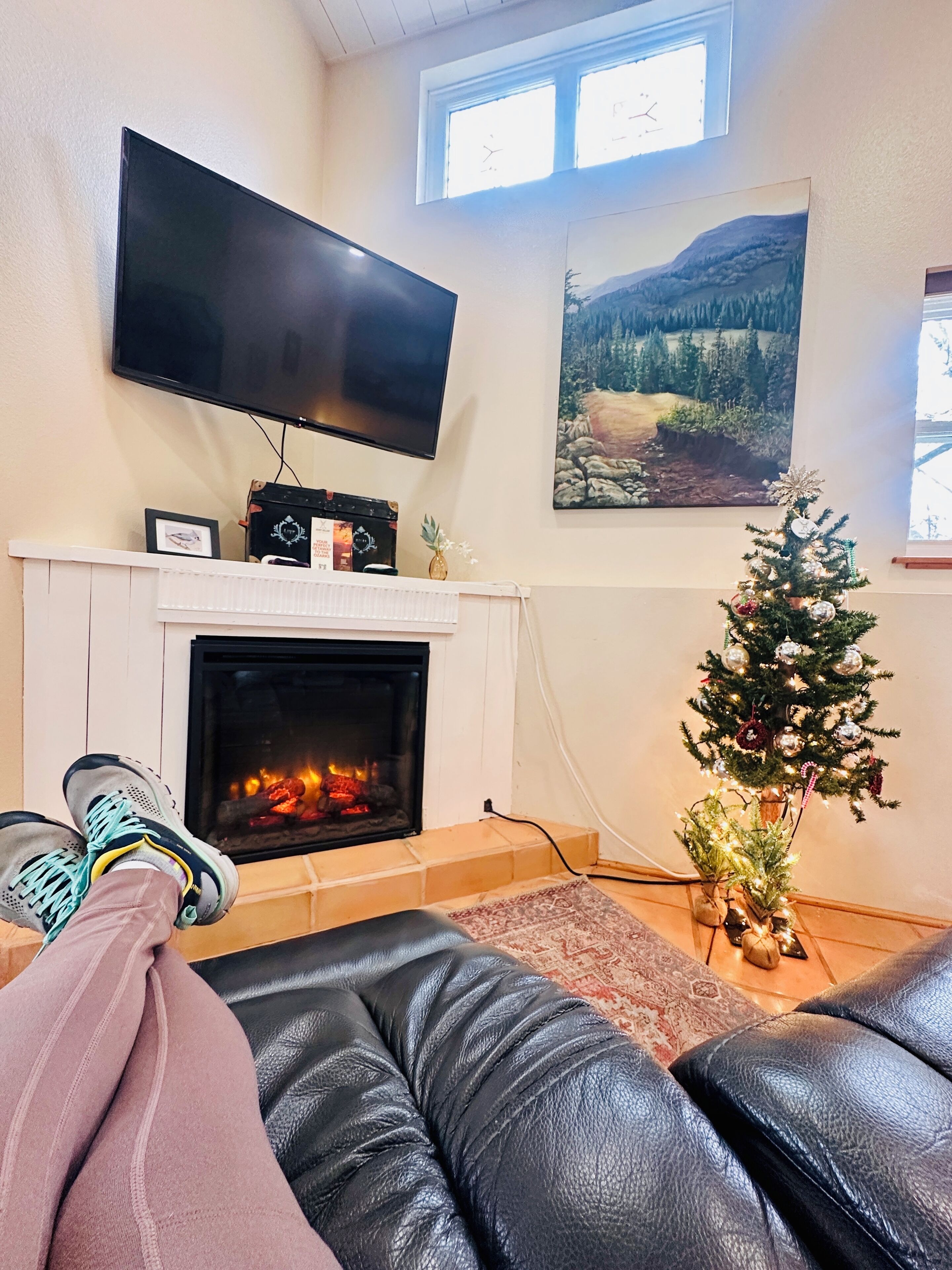 Smart TV, fireplace, DVD player, books