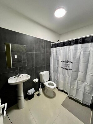 Comfort vierpersoonskamer | Badkamer | Een douche, zeep, toiletpapier