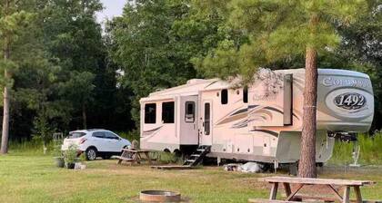 Campsite in Greenville North Carolina