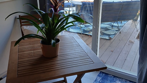 A room with a wooden table and a chair, a potted plant, and a view of a lake through a glass door.