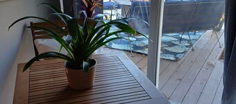 Beautiful Lakefront Home with kayaks/paddleboats included! Pets allowed!