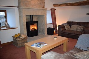 Fernseher, Kamin, DVD-Player, Bücher