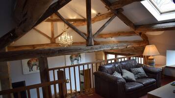 Télévision, cheminée, lecteur de DVD, livres