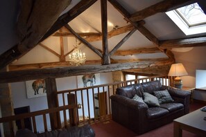 TV, fireplace, DVD player, books