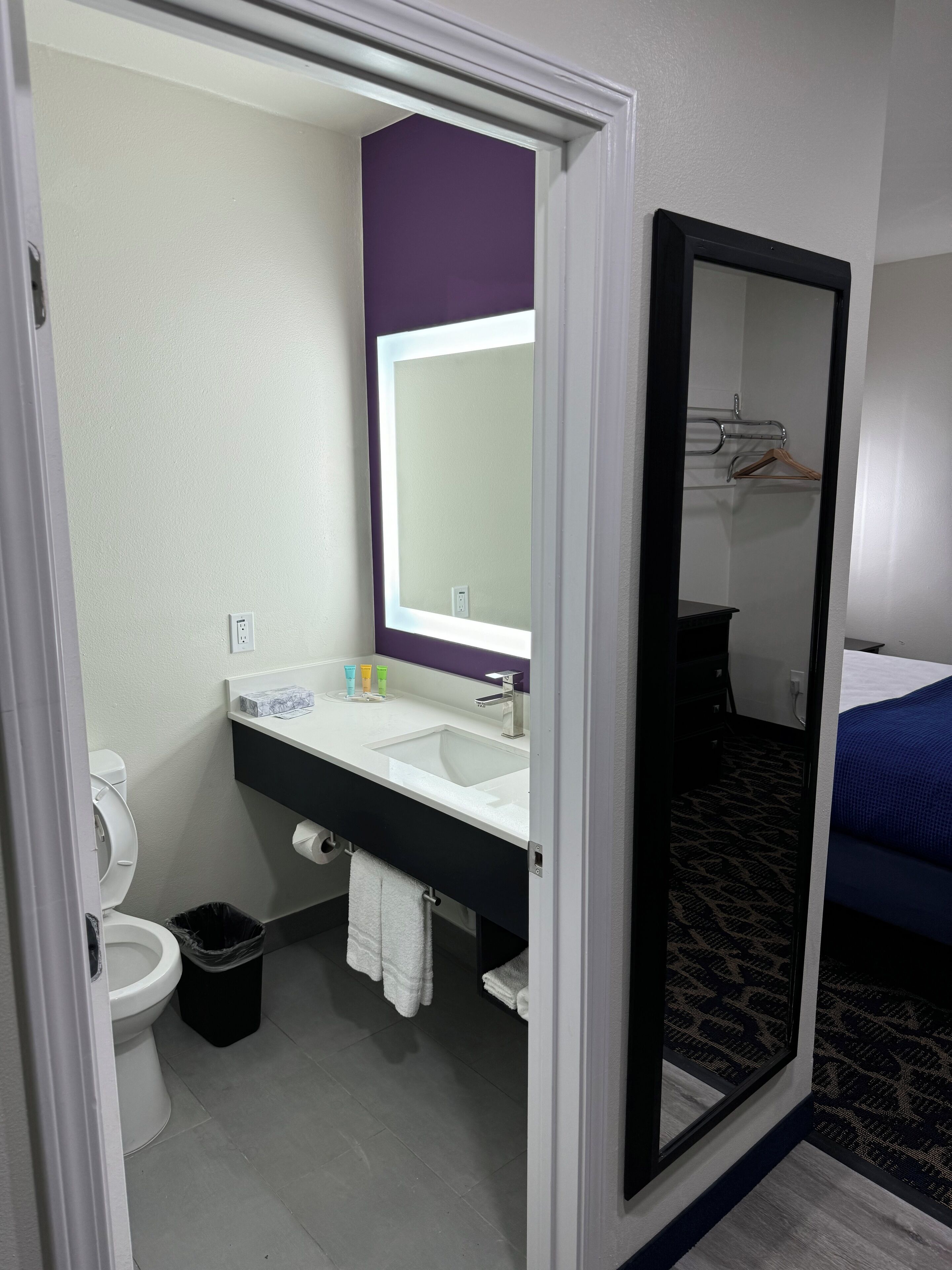 A hotel bathroom with a white sink, a mirror, a toilet, and a trash bin.