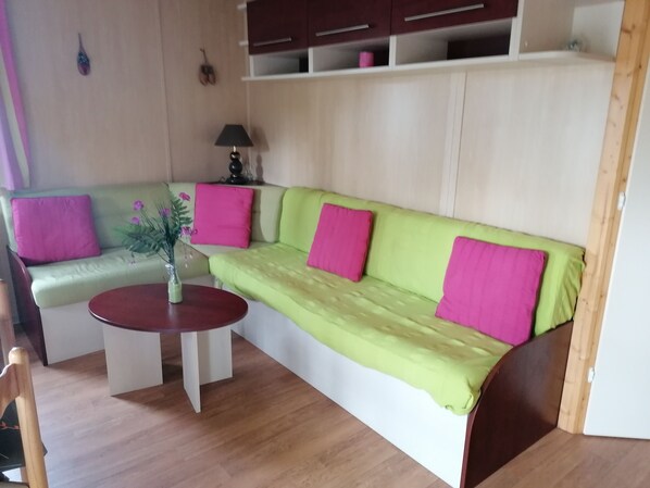 Televisión, reproductor de DVD y libros 