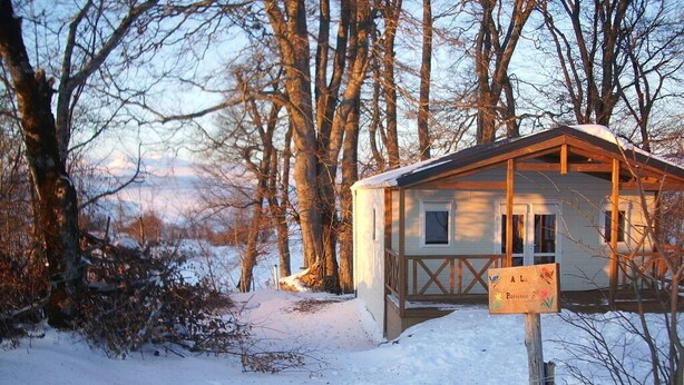 Een houten hutje met een overdekte veranda, omringd door bomen en sneeuw.