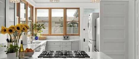 Fridge, oven, stovetop, dishwasher