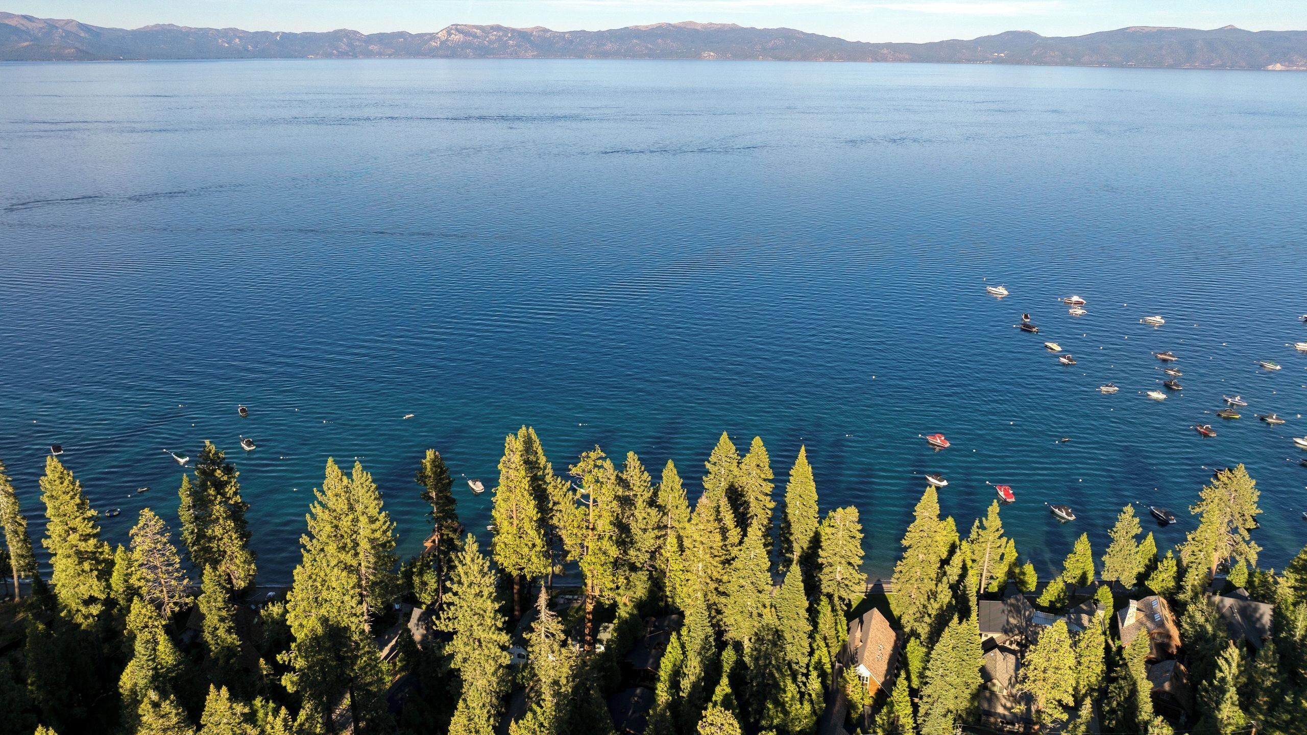 Un lac où l’on peut naviguer, entouré d’une forêt de conifères dense et dominé par des montagnes lointaines.