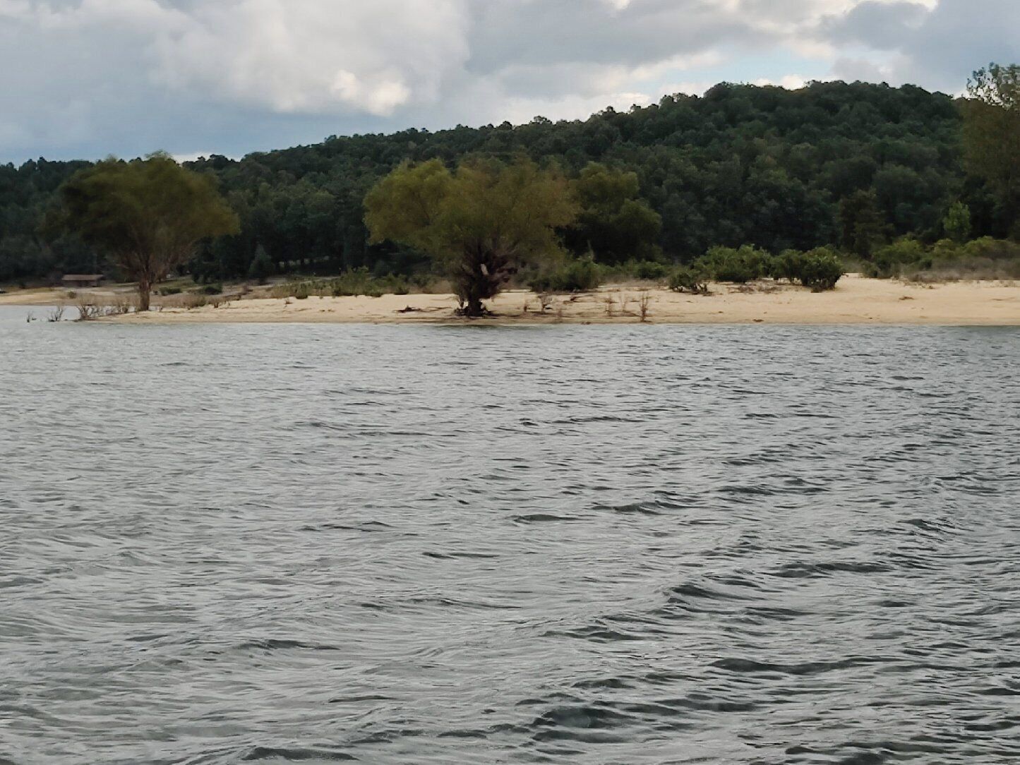 A calm body of water with a sandy beach and a tree in the middle.