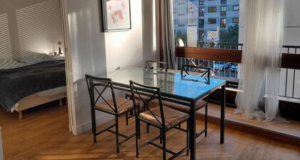 Appartement de 2 piĂšces 50 m2 , 5 mn de la gare de ROBINSON