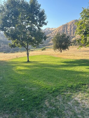 Overnattingsstedets uteområder