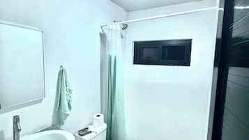 Shower, hair dryer, soap, toilet paper