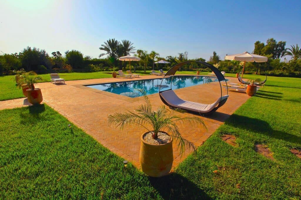 A swimming pool with lounge chairs and umbrellas, surrounded by grass and palm trees.